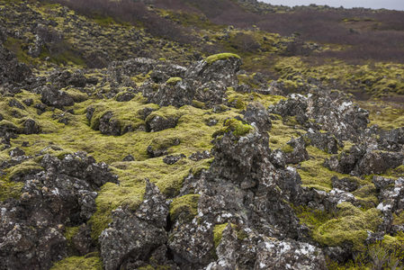 远眺苔藓覆盖的火山丘陵