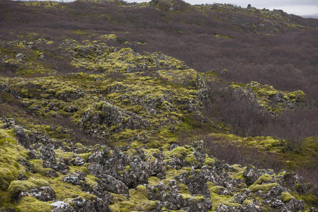 苔藓点缀的火山岩坡全景