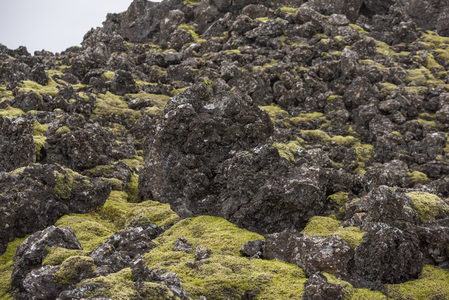 苔藓覆盖的火山岩地貌特写