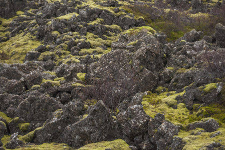 广袤苔原上的黑色熔岩地貌奇观