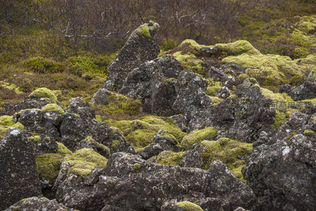 荒野中苔藓点缀的怪石群，静谧而神秘