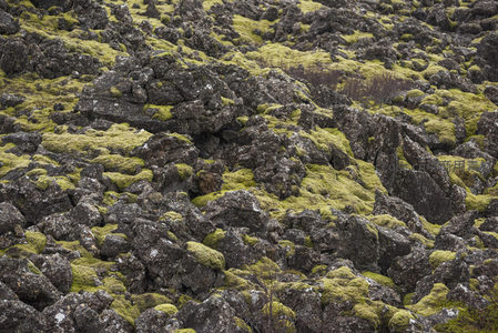 崎岖岩石上的绿色地毯