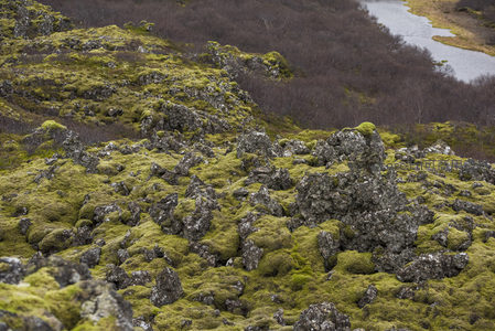 苔藓岩地与远方溪流