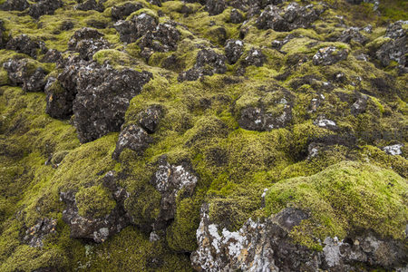 连绵青苔覆盖的岩原