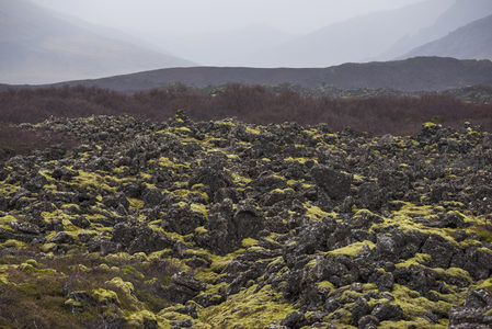 远山雾霭下的苔原奇景