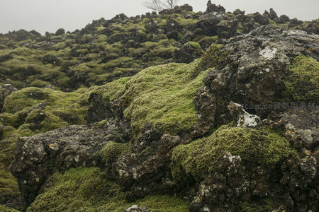 青苔点缀的崎岖熔岩景观