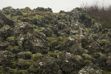 布满苔藓的古老火山岩群
