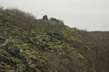 苔藓覆盖的火山岩山坡