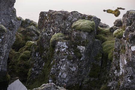 水边巨石上的青苔地毯