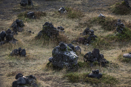 苔藓覆盖的火山岩堆点缀在荒野草地上