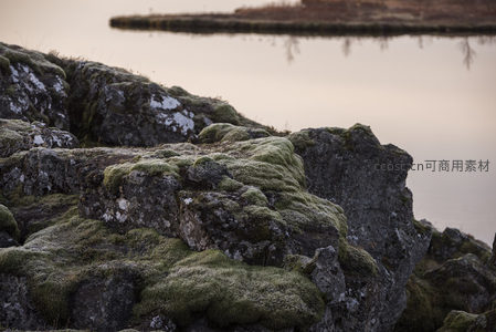 湖畔青苔覆盖的火山岩特写，宁静悠远