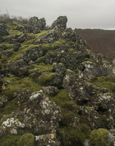 苔藓覆盖的火山岩地貌