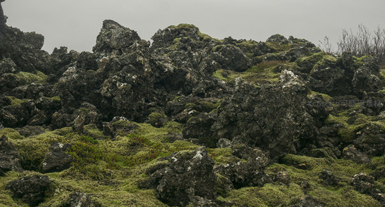 青苔点缀的玄武岩山丘