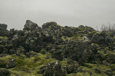 荒原上的苔藓火山岩群