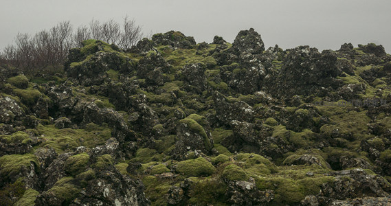 苔藓覆盖的火山岩地貌