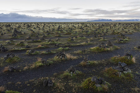 黑土上的苔藓石堆景观