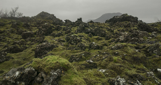 阴天中被青苔覆盖的崎岖火山岩坡