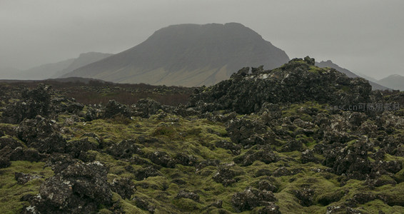 苔藓覆盖的火山岩地貌与远山