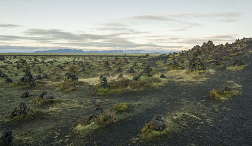 火山岩地与青苔交织的旷野图景