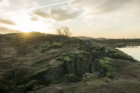 夕阳洒落在苔藓覆盖的岩石之上