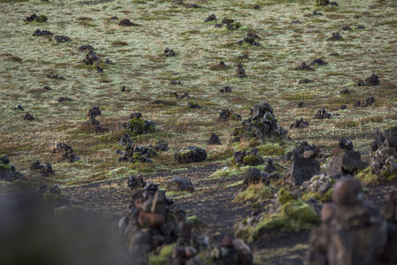 晨光中的火山石堆群与薄霜苔原