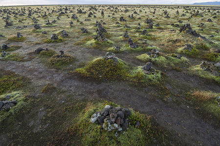 苔藓覆盖的火山岩地貌，自然奇观