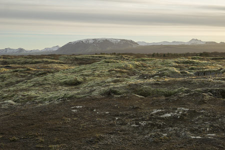 苔藓地貌延伸至雪山脚下，天地辽阔