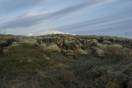 苔覆岩丘，雪岭为屏