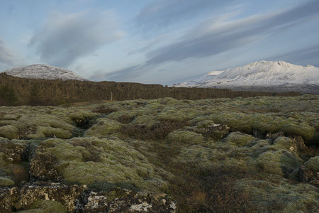 苔藓覆盖的火山岩与远山雪景