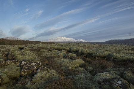 晨曦中的苔原与雪山远景