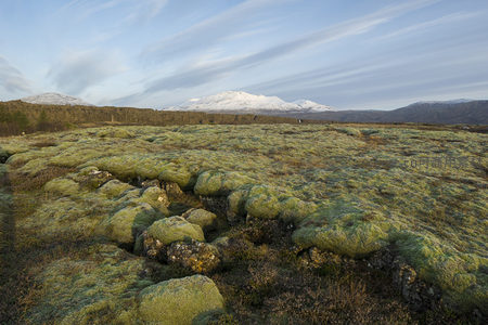 阳光洒落苔藓岩地与雪山