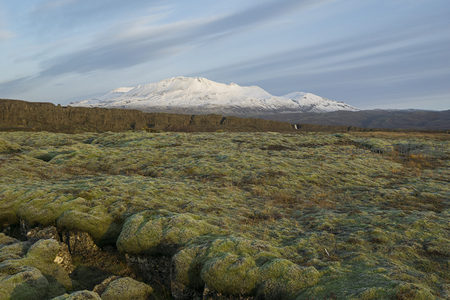 雪峰下的苔藓熔岩平原