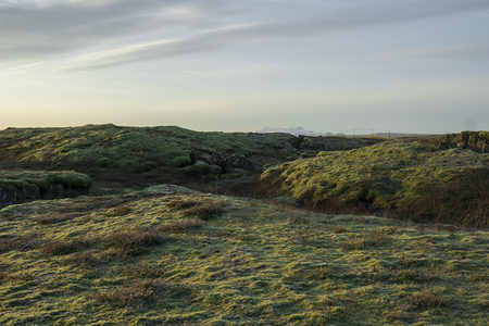 苔藓覆盖的火山岩地貌在晨光中