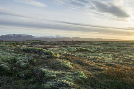 广袤苔原在日落时分披上金辉
