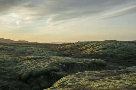 夕阳斜照苔藓岩缝间的幽静角落