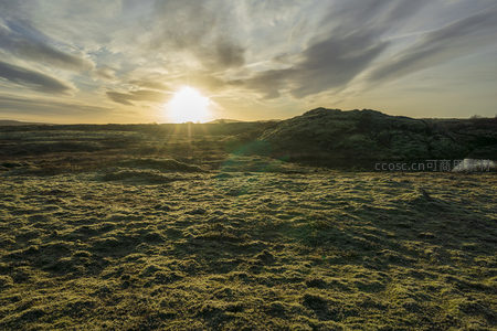 太阳从苔藓平原后升起光芒万丈