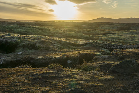 金色黄昏下的苔藓裂谷如梦似幻