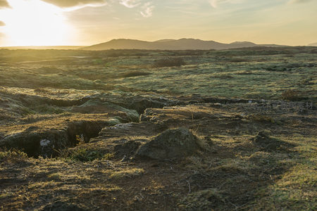 苔原日落，金色光辉洒满大地