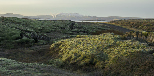 远山如黛，苔原小径通向远方