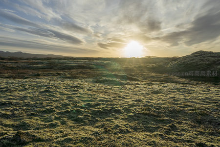 日光倾泻，苔原如绿毯铺展
