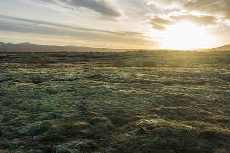 暮色苍茫，苔原沐浴金色余晖