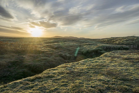 苔原日落，金色阳光洒满大地