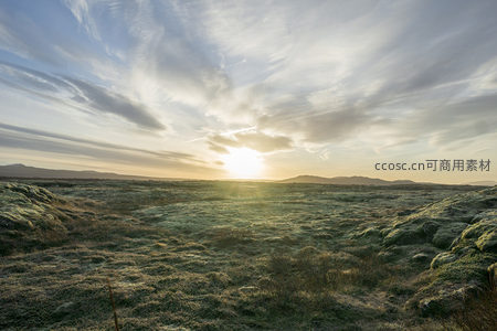 晨曦初照，苔原沐浴金色光辉