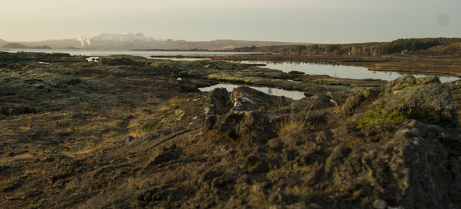 湿地苔原与远方雪山的静谧画卷