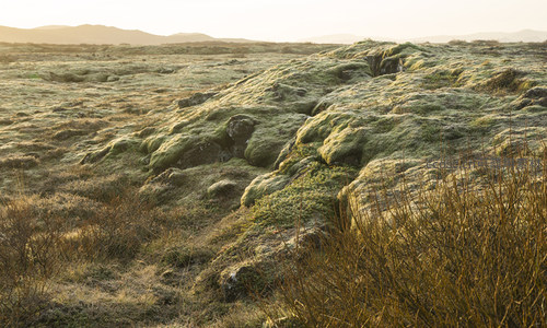 阳光洒落青苔覆盖的火山岩地貌