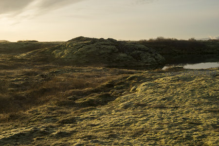 金色夕照中的苔藓丘陵与静水池塘
