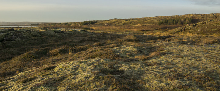 广阔苔原延伸至林带边缘的辽阔视野