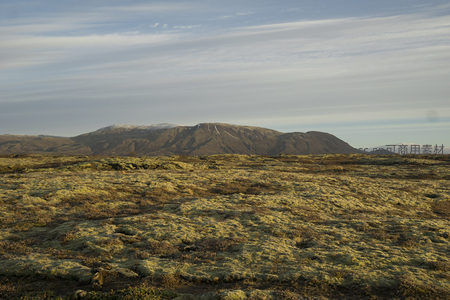 苔原覆盖的山地风光
