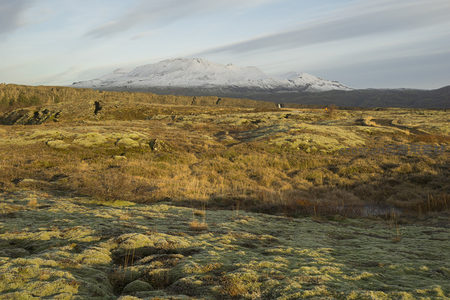 雪山映衬苔原大地