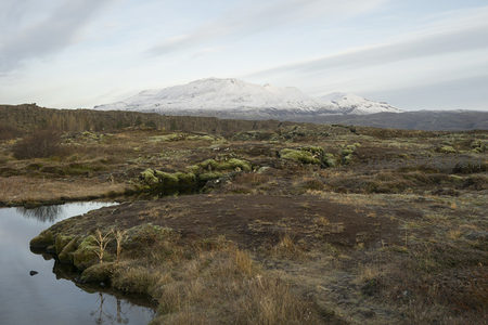 静谧水塘倒映雪山
